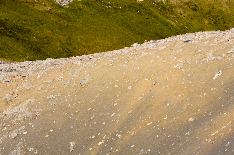 Barren Slope